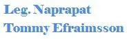 Naprapat Tommy Efraimsson logotyp
